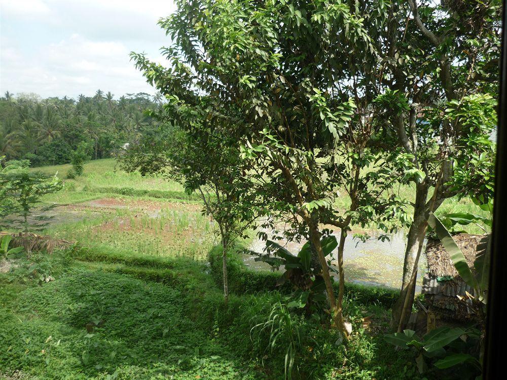 Kudos Guesthouse Ubud Buitenkant foto