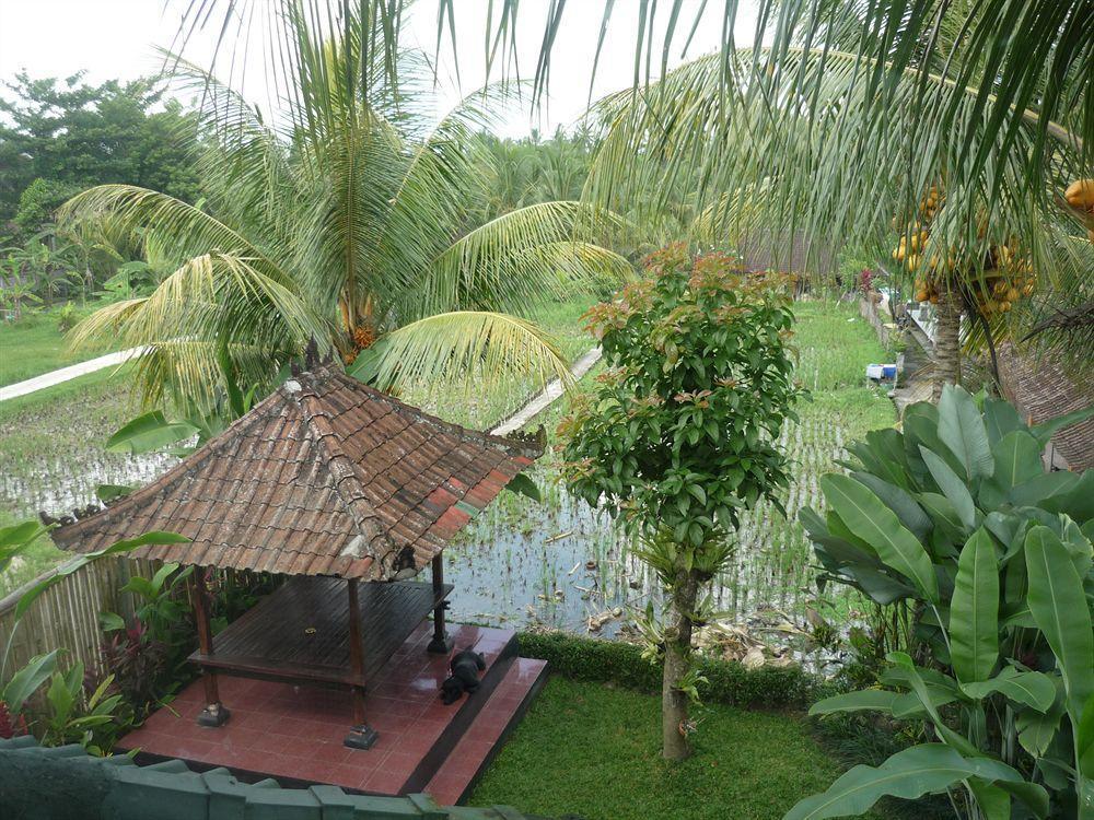 Kudos Guesthouse Ubud Buitenkant foto